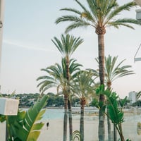 Agenda Beach Club Party Magaluf at Ocean Beach Club, Magaluf, 17 June 2025
