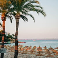 Agenda Beach Club Party Magaluf at Ocean Beach Club, Magaluf, 5 August 2025