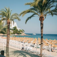 Agenda Beach Club Party Magaluf at Ocean Beach Club, Magaluf, 12 August 2025
