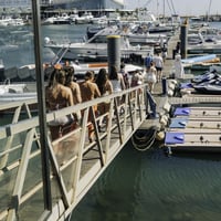 Albufeira Boat Party at Albufeira Marina, Albufeira, 18 July 2025