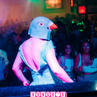 Bongo's Bingo Albufeira at Heaven Warehouse, Albufeira, 9 June 2026