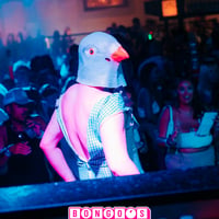 Bongo's Bingo Albufeira at Heaven Warehouse, Albufeira, 9 June 2026