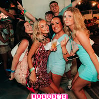 Bongo's Bingo Albufeira at Heaven Warehouse, Albufeira, 28 July 2026