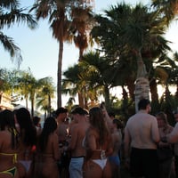 Champagne Sessions Malia at Oasis Pool Bar, Malia, 17 June 2026
