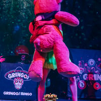 Gringos Bingo at Pirates Arena, Magaluf, 23 June 2025