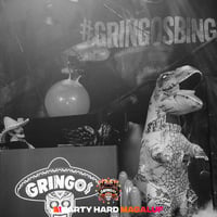 Gringos Bingo at Pirates Arena, Magaluf, 12 July 2025