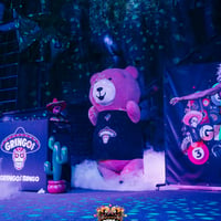 Gringos Bingo at Pirates Arena, Magaluf, 26 July 2025