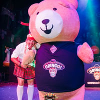 Gringos Bingo at Pirates Arena, Magaluf, 7 August 2025