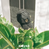 House in Paradise Pool Party at Oceans Calviá Beach, Magaluf, 8 June 2025