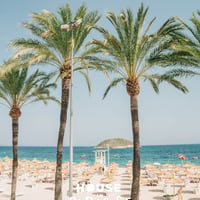 House in Paradise Pool Party at Oceans Calviá Beach, Magaluf, 15 June 2025