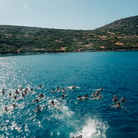 Malia Booze Cruise at George and Dragon, Malia, 13 July 2025