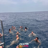 Ocean Beats Boat at Bus pick up point, Magaluf, 14 July 2026