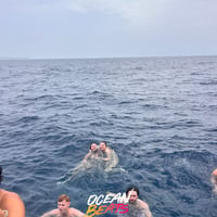 Ocean Beats Boat at Bus pick up point, Magaluf, 14 July 2026